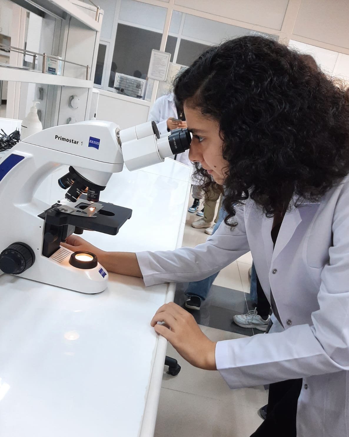 Kan Modeli Analizi Eğitimi 2